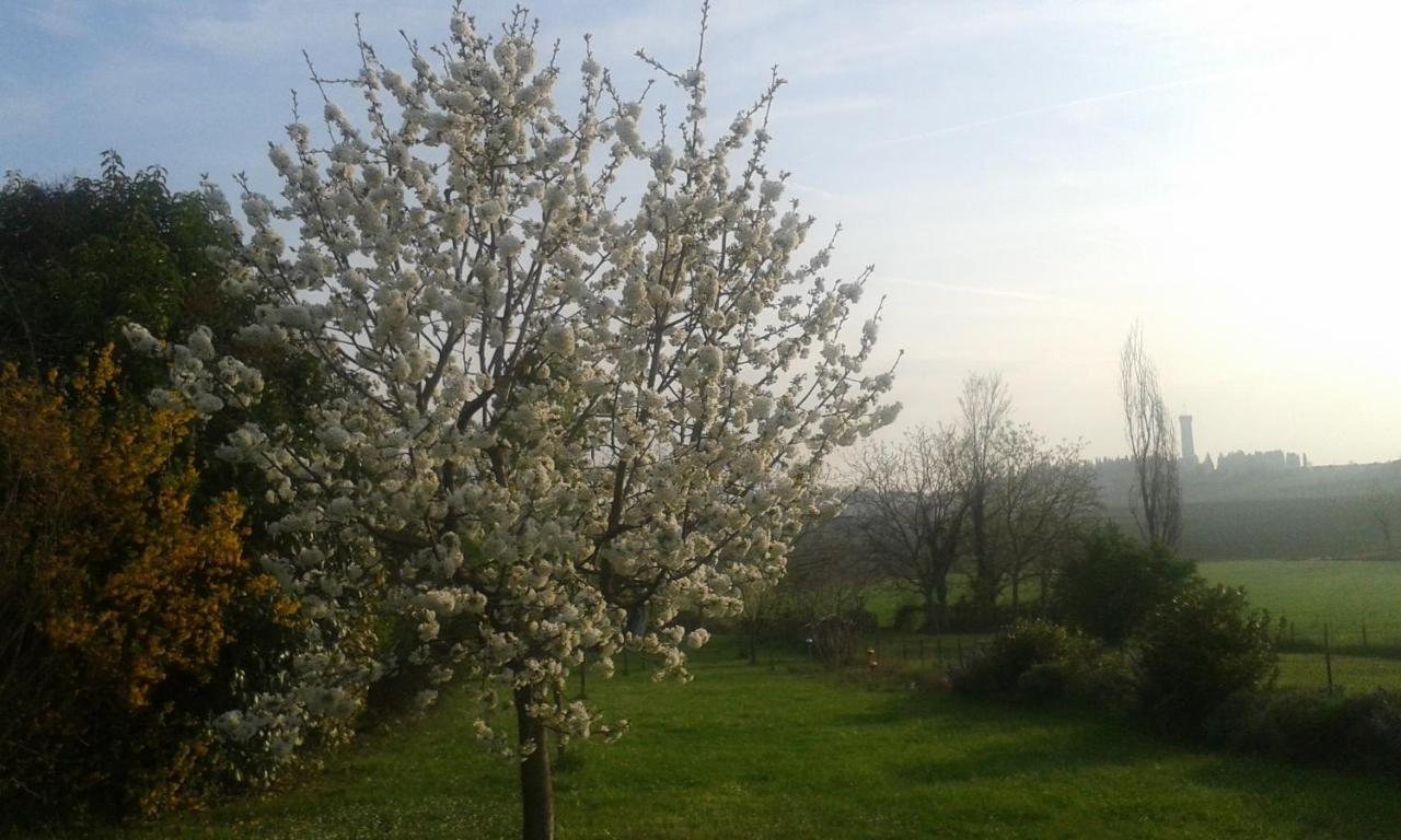 Monte Maino Bed & Breakfast Desenzano del Garda Luaran gambar